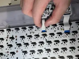 KXYVcvA2k3omVTmv