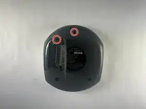 KjDVNxtqnkF2if6p
