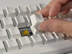 LFiQ4NwhWex3RQGN