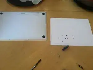 LOngQyTQXnLCxedp