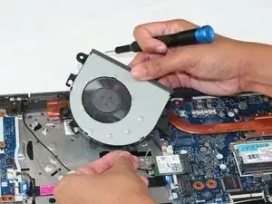 Fan