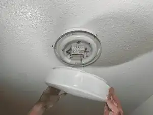 LhRbVXA12lSwdP1Y