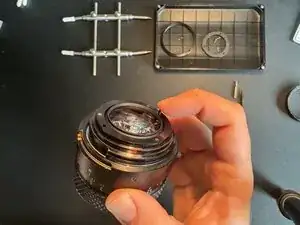 MAvEsOFBkFMIDWM1