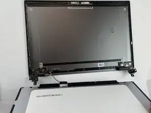 MVRtFCa65Y5OUSPR