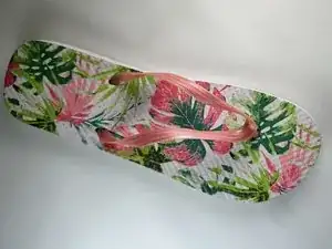 MVvgoXagynwvWTXQ