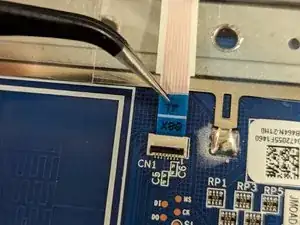 NSLUPLbQcUfJY3ln