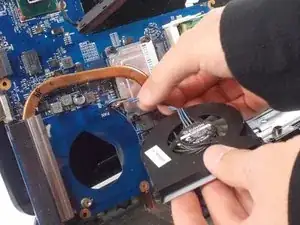 Fan