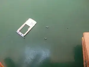 OCRHgnvXVwDpoNGt