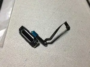 Fingerabdrucksensor