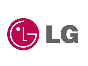 LG Display
