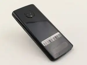 Back Shell