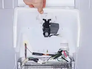 PCsBSbT5FAgOqGMd