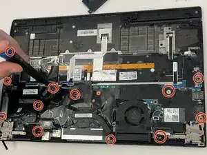 PQWQPLqKOSeaJiev