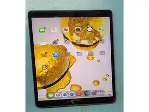 Display