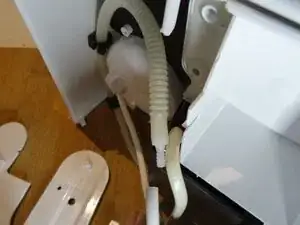 PlngTLf141GgLKvp