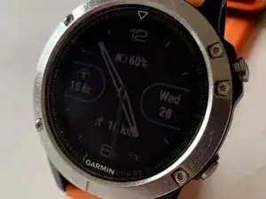 Garmin Fenix 5 reinigen