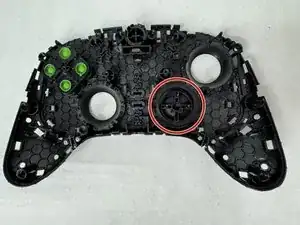 QCCXoRmCINNUjeLl