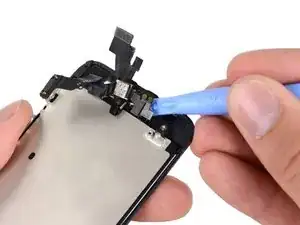 QTGSFJgUQbwZWwlJ