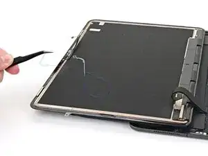 R1noXbY5UsZhQCoN