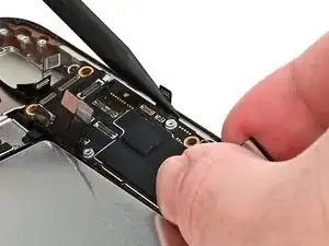 RmP4htKZpjpyidAT