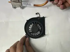 Fan
