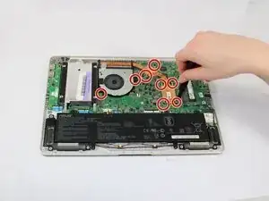 SfsTCmjOLJTWbpln