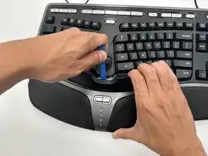 THgrC3FZPrVdpAVH