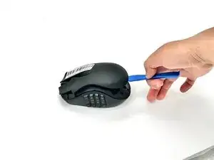 TohdmTX3HWUTZIfl