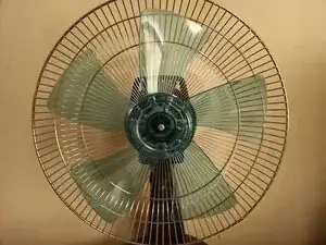 TqwSp4Ryafe1UWfS