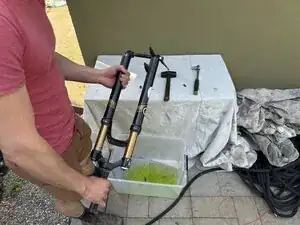 Fork Seal and Oil