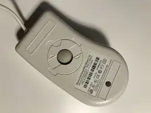 UGqDQgBvWvrnav1s
