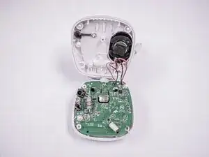 UeUhfvMMZExkVw6k