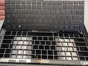UrSfPLFsOfmNHDWe
