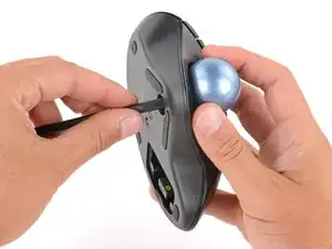 UvWZMFynZqwKkuOJ