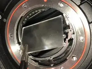 VNIC4ZfSWqvOvkGx