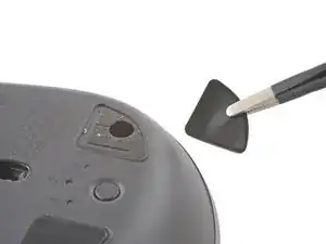 Mausfüße