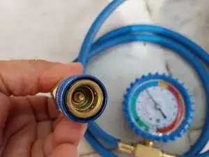 VaSe1f5MHjYsK6WN