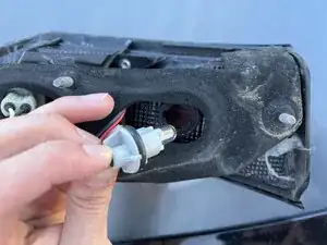 Trunk Tail Light