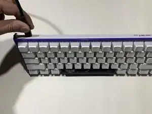 Cherry MX Schalter