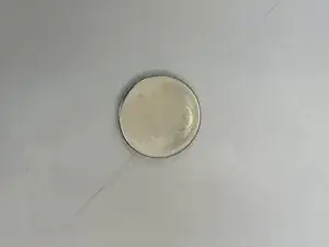 XTscY2oI1PXNlJHr