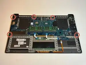 Xe3GuOdLq3YnJZQ4