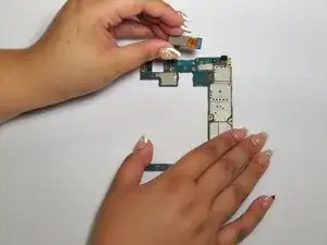 YDLB5UMpLB2poncB