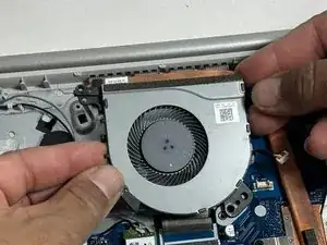 Fan