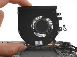 Left Fan