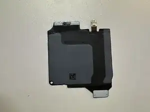 YMP1wL4xucKSf2MS