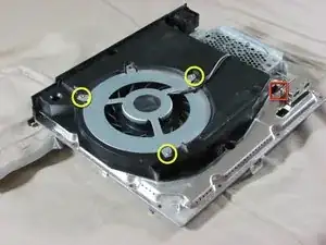 Fan