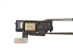 Lower Microphone