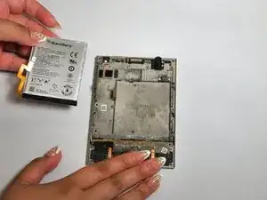 aPlKCObLT3JZ3lCY