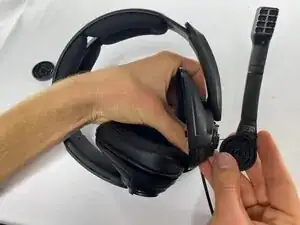 Microphone