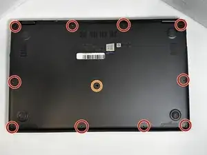 Back Panel